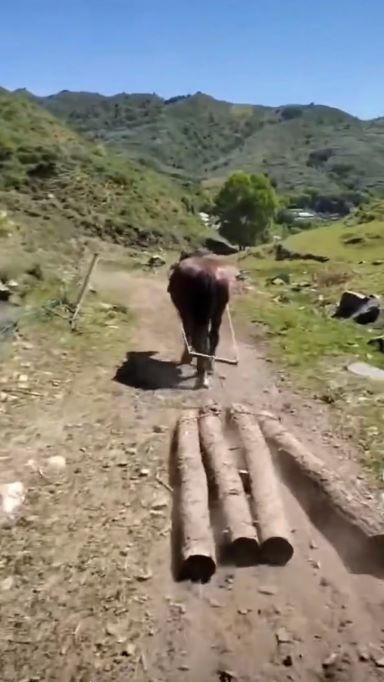 廣東馬隊(duì)運(yùn)輸