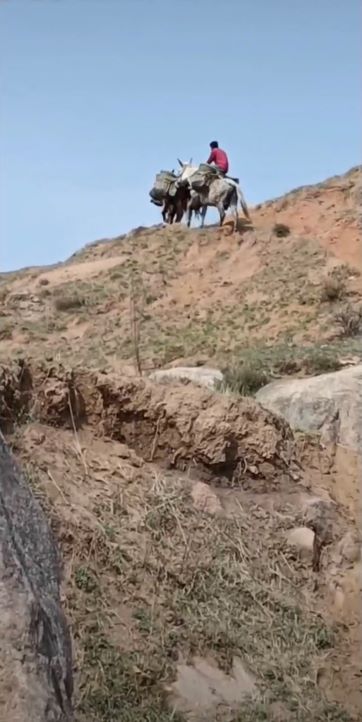 廣東馬幫運(yùn)輸